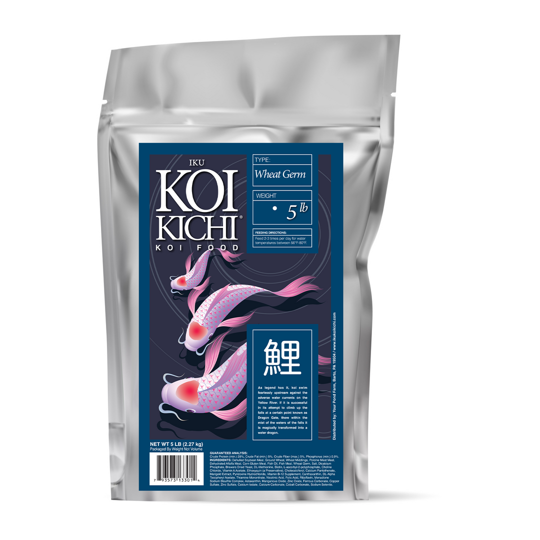 IKU KOI KICHI Wheat Germ Koi Fish Food