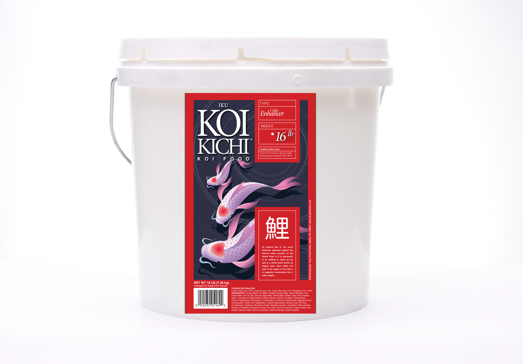 IKU KOI KICHI Color Enhancer Koi Fish Food