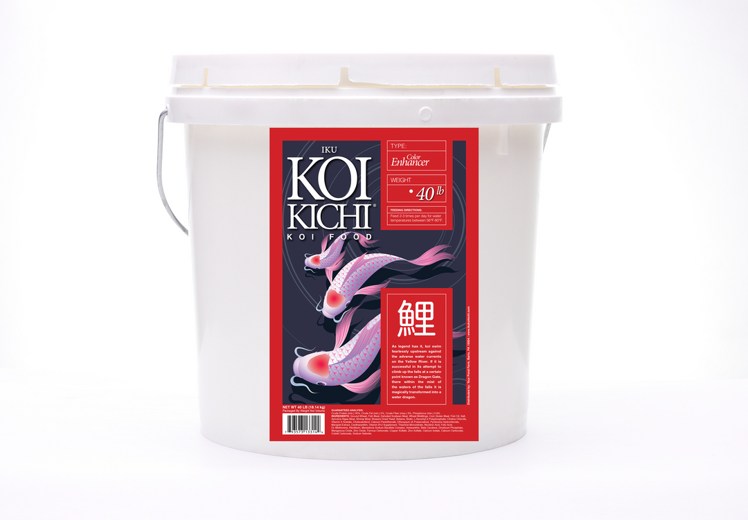 IKU KOI KICHI Color Enhancer Koi Fish Food