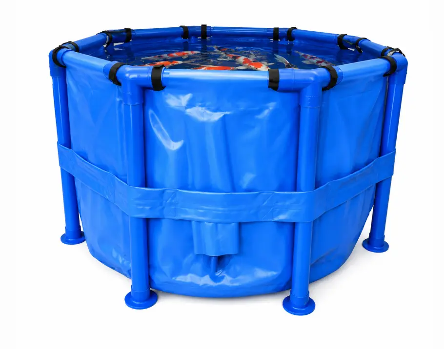 IKU KOI KICHI  Koi Show Tank Blue 200cm (6.5 ft) w/Cover Net