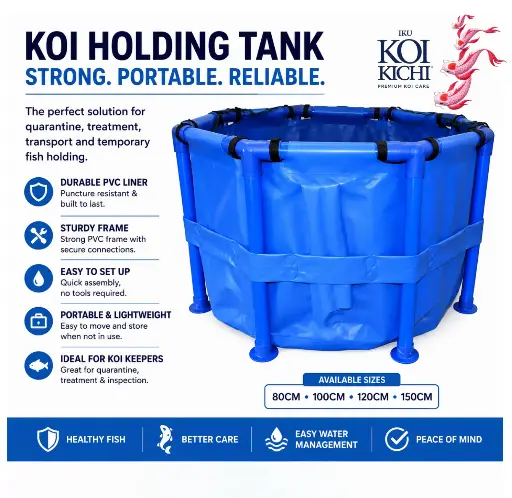 [KKKTA100] IKU KOI KICHI  Koi Show Tank Blue 100cm (3 ft) Folding