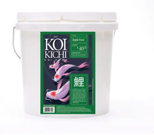 [KKSTAPLE40] IKU KOI KICHI  Staple Food 40lb